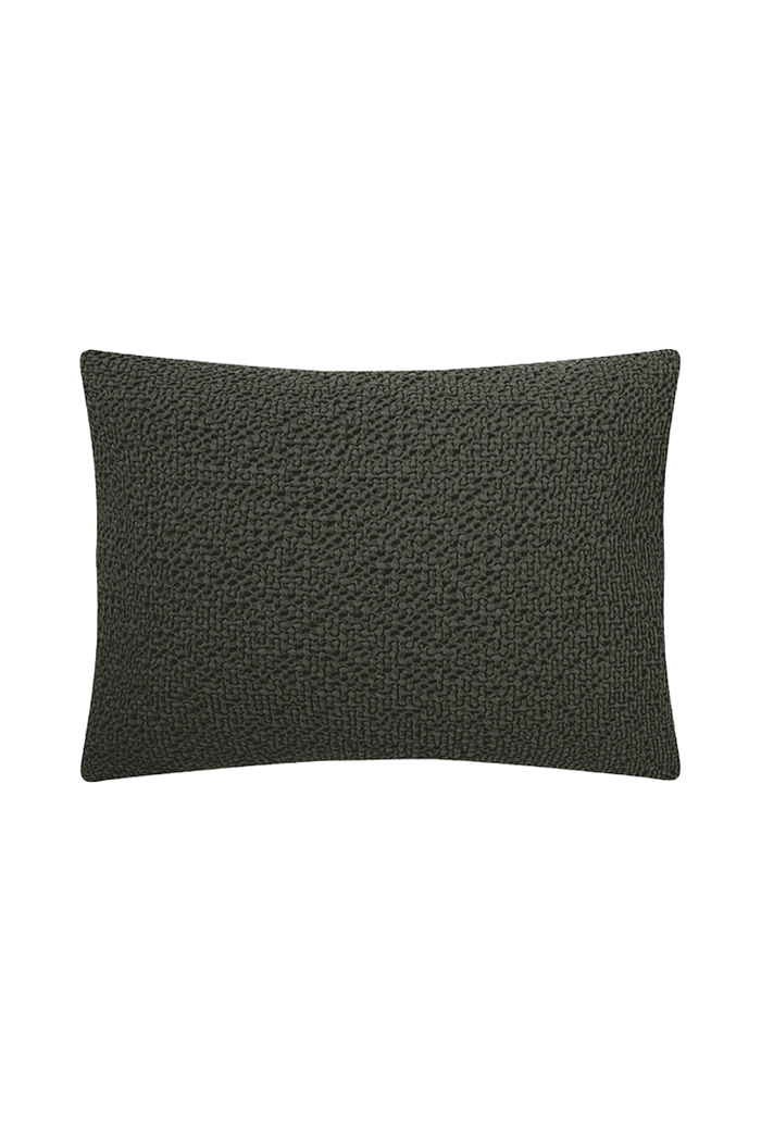 Coussin Songe Fougere