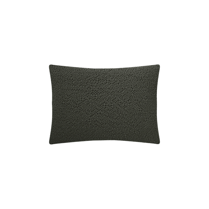 Coussin Songe Fougere