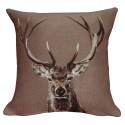 COUSSIN BOIS DORMANT COUSSIN BOIS DORMANT