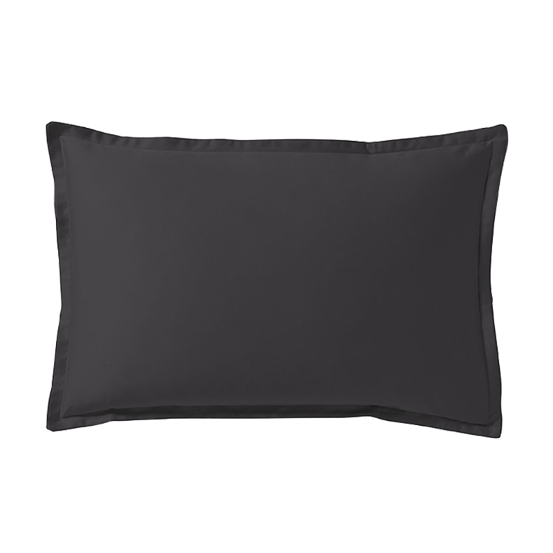 TAIE D'OREILLER TEOPHILE ECLIPSE