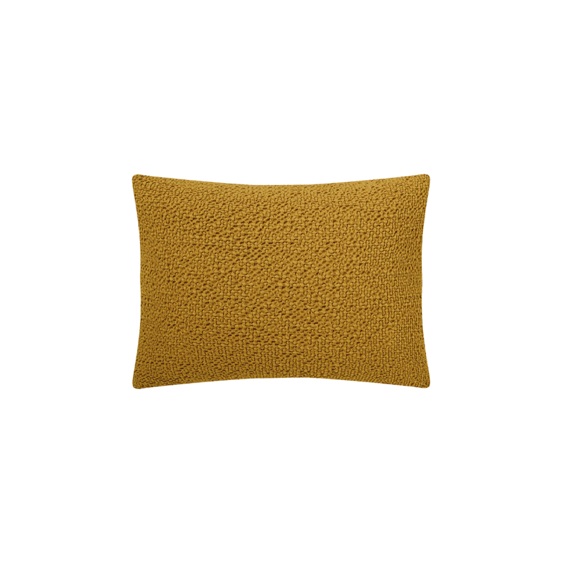 COUSSIN SONGE POLLEN