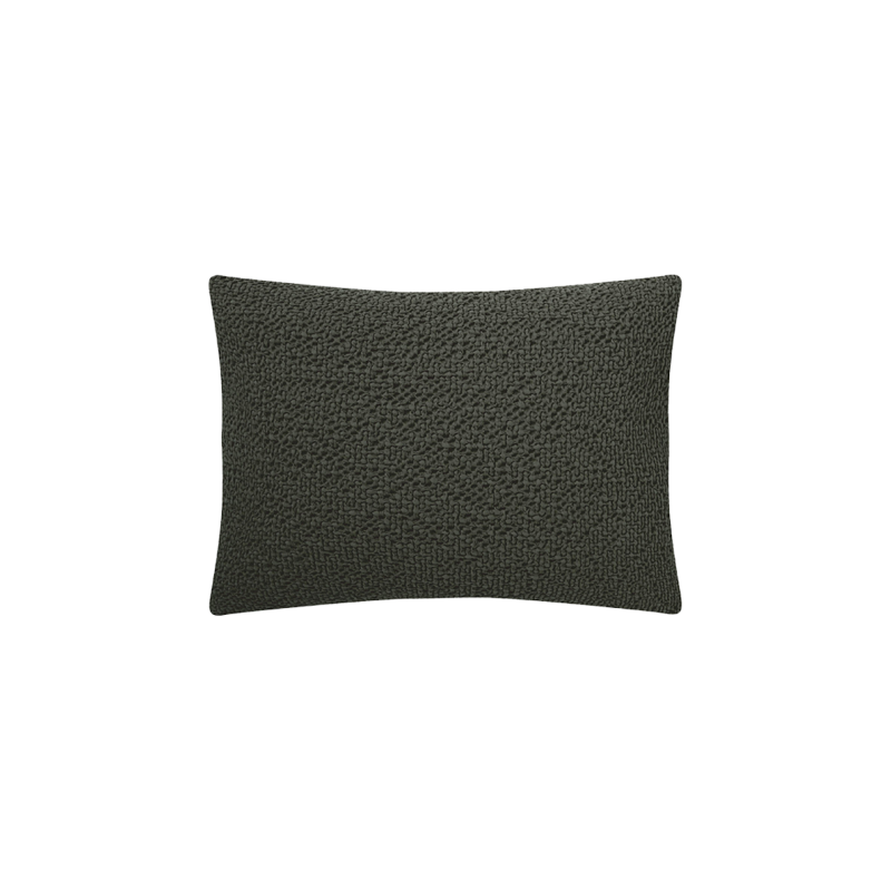 COUSSIN SONGE FOUGERE