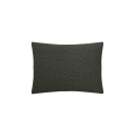 COUSSIN SONGE FOUGERE