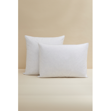 OREILLER DUVET FERME-ESSIX