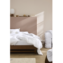 COUETTE TEMPEREE