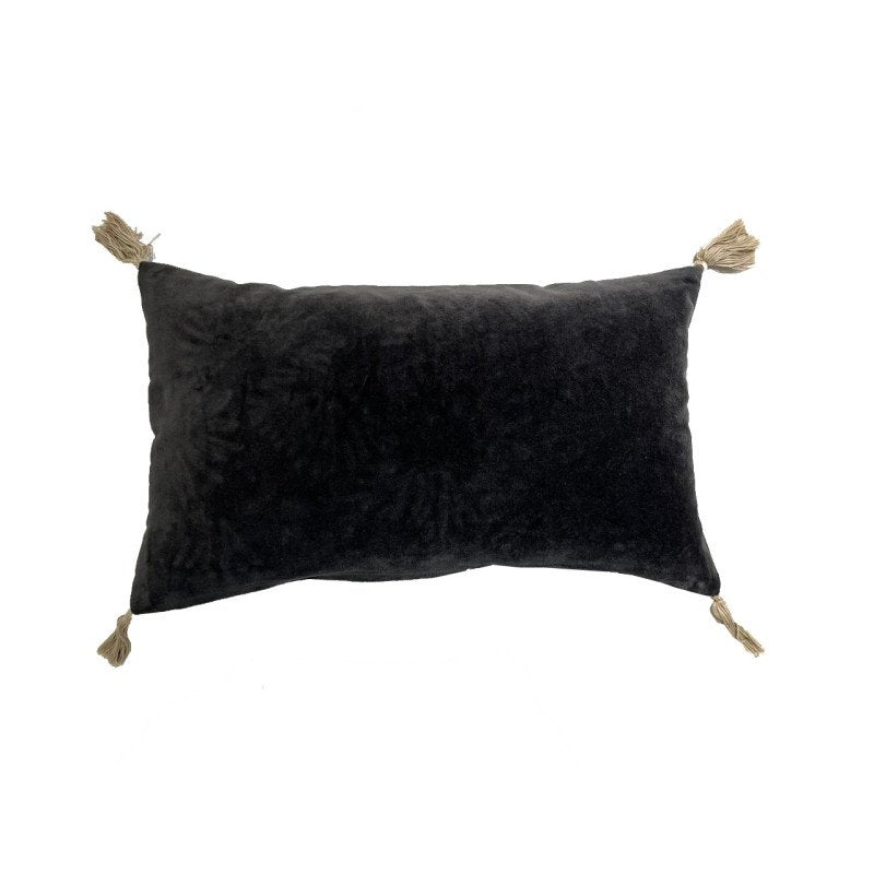 COUSSIN ANIME ELISE CAMPA TONNERRE &mdash; vue 3
