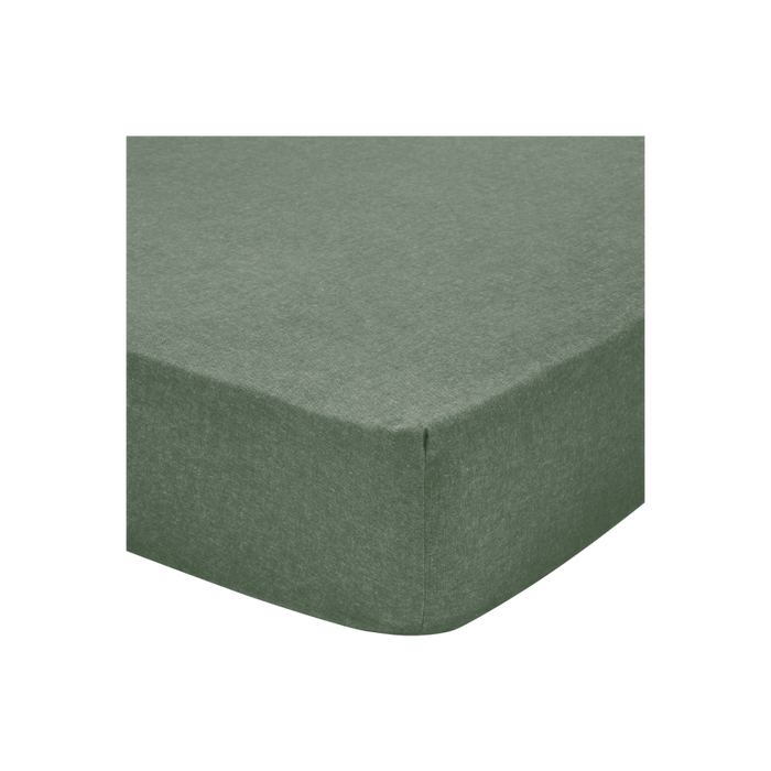Drap Housse Frisson Lichen