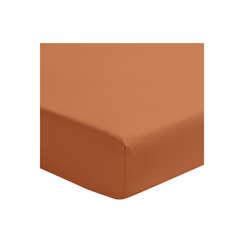 DRAP HOUSSE PREMIERE CUIR &mdash; vue 1